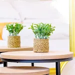 Apartment Arco - Casa Collina